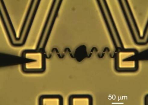 Scientists Create Super-Strong Micro 'Muscle'