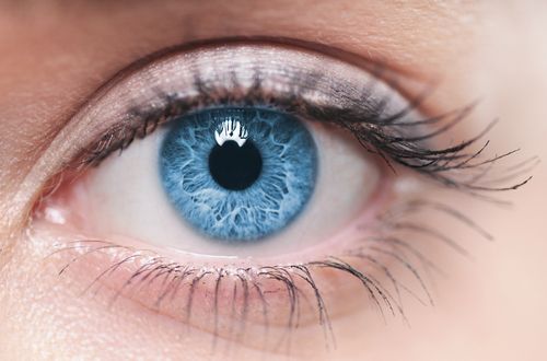 New Crime-Fighting Tool: Photos of Victims' Eyes?