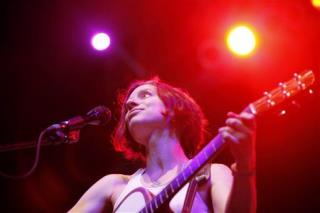 Ani DiFranco's Plantation Show Worth Getting Mad About