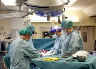 Swedish Doctors Pull Off 9 Womb Transplants