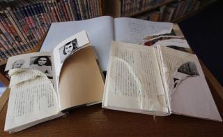 Japan Mystery: Anne Frank's Diary Torn Apart