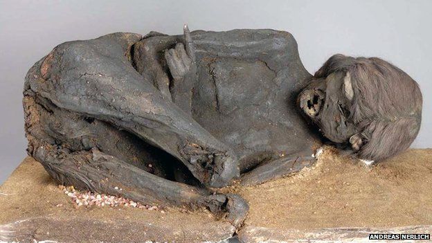 Mummy Mystery Solved: It Was Murder