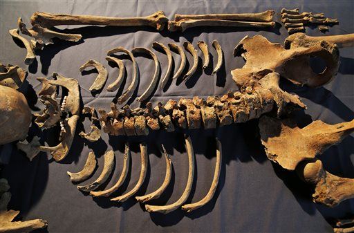 Black Death Wasn't Actually Bubonic Plague