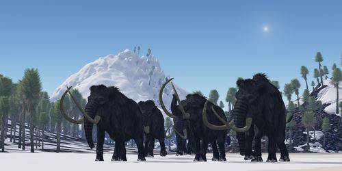 Inside S. Carolina's Tussle Over the ... Woolly Mammoth