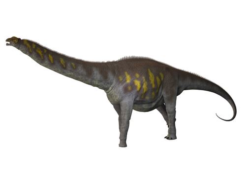 Scientists: We've Found Biggest Dinosaur Ever