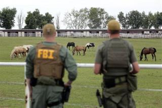 US Horse Farm Was Front for Vicious Cartel