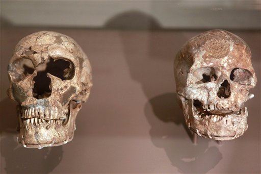 Skulls From 'Pit of Bones' May Hold Evolution Clues