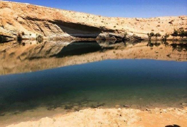 Mystery Lake Surfaces in Parched Tunisia