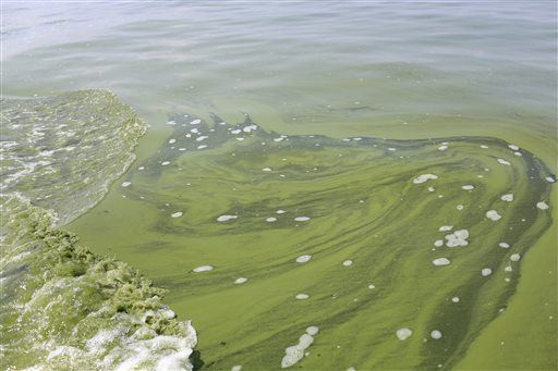 Toxic Water Actually 'So Routine' in Ohio