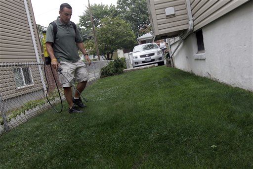 California Drought Fuels Boom in ... Lawn Painting