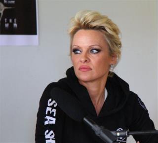 Never Mind: Pam Anderson Doesn't Want to Divorce