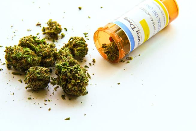 Medical Marijuana May Cut Painkiller ODs