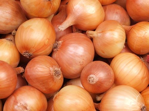 Theft of Kids' Onions Has Happy Ending