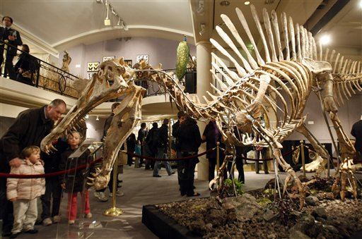 Dinosaur Find: Biggest Carnivore Could Swim