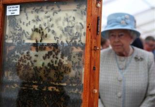Queen Weighs In as Scots Independence Campaign Heats Up