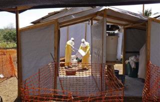 Ebola Workers 'Killed in Cold Blood' in Guinea