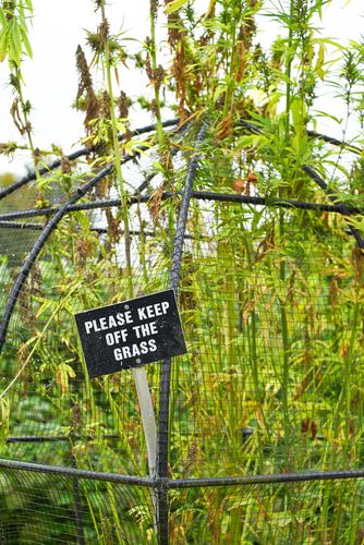 Plants in 'World's Most Dangerous Garden' Can Kill You