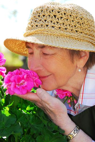 Your Sense of Smell May Predict Longevity