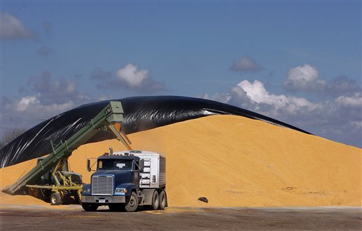 Ethanol Guzzles 25% of US Corn; Links Food, Fuel Prices