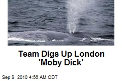 Team Digs Up London 'Moby Dick'