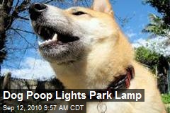 Dog Poop Lights Park Lamp