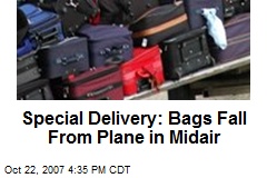 Special Delivery: Bags Fall From Plane in Midair