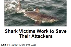 Shark Victims Work to Save Their Attackers