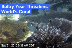 Sultry Year Threatens World's Coral