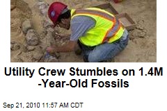 Utility Crew Stumbles on 1.4M-Year-Old Fossils