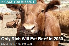 Only Rich Will Eat Beef in 2050