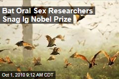 Bat oral sex wins 2010 IgNobel Prize