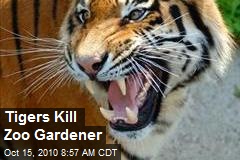 Tigers Kill Zoo Gardener