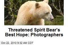 Threatened Spirit Bear's Best Hope: Photographers