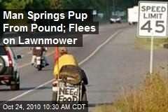 Man Springs Pup From Pound; Escapes on Lawnmower