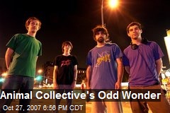 Animal Collective's Odd Wonder