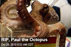RIP, Paul the Octopus