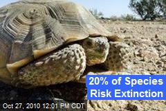 20% of Species Risk Extinction