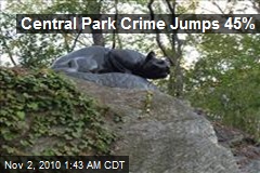 Central Park Crime Jumps 45%