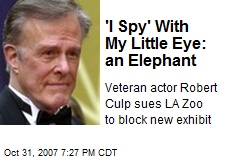 'I Spy' With My Little Eye: an Elephant