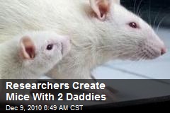 Researchers Create Mice With 2 Daddies