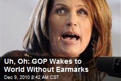 Uh, Oh: GOP Wakes to World Without Earmarks