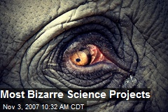 Most Bizarre Science Projects