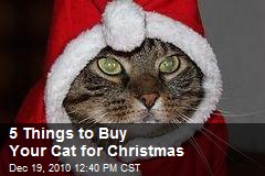5 Things to Buy Your Cat for Christmas