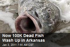 Now 100K Dead Fish Wash Up in Arkansas