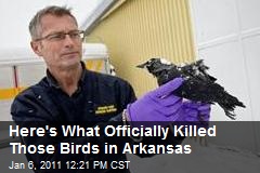Here's What Officially Killed Those Birds in Arkansas