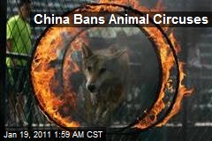 China Bans Animal Circuses