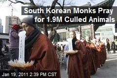 South Korean Monks Pray for 1.9M Culled Animals