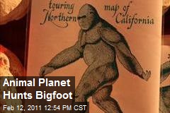 Animal Planet Hunts Bigfoot
