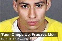 Teen Chops Up, Freezes Mom