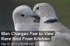 Man Charges Fee to View Bird From Kitchen Window